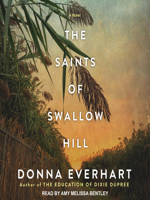Title details for The Saints of Swallow Hill by Donna Everhart - Available
